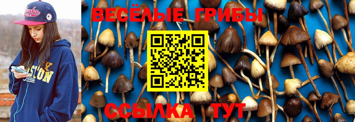 Псилоцибиновые грибы Cubensis  Галлюциногенные грибы мицелий  Барабинск  Вход с VPN 